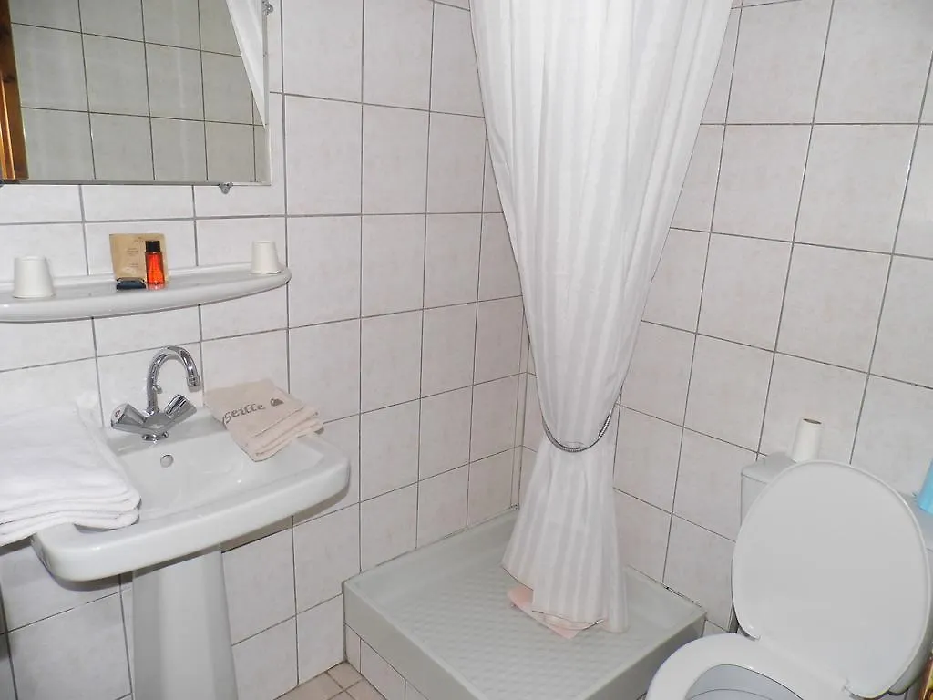 Hotel Des Touristes Pierrefitte-Nestalas 2*,